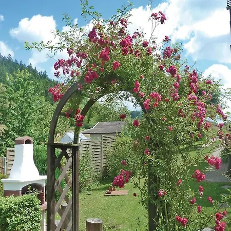One-bedroom Holiday Brotterode-trusetal With Mountain View 01 Σπίτι διακοπών Brotterode